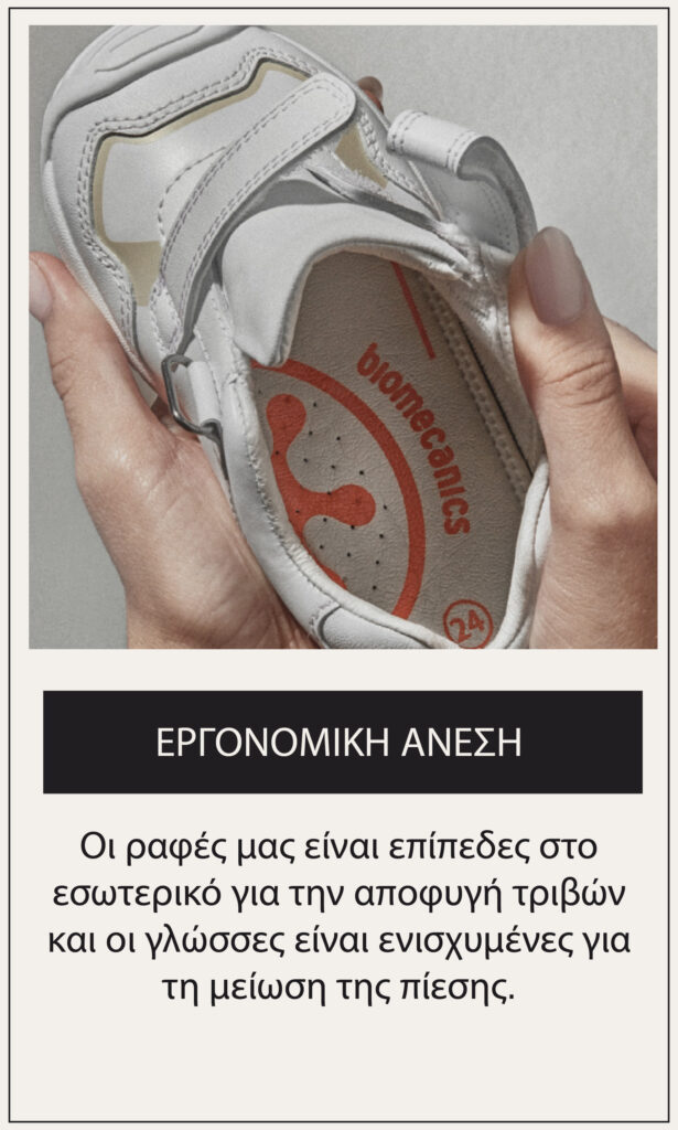 Mesa de trabajo 4 copia 44@2x-80